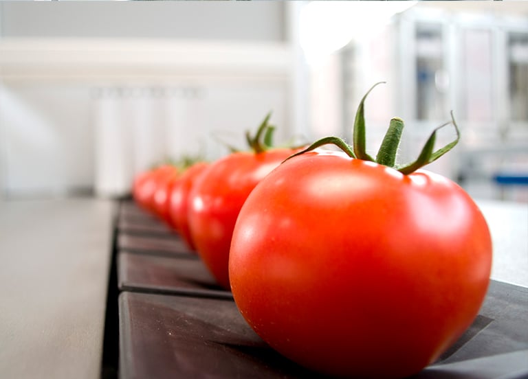 industria alimentaria