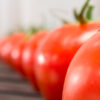 Protocolo de actuación frente al coronavirus en industrias agroalimentarias 2020-04_blog-tomates