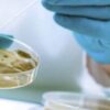 Capacitación para biocidas de uso especializado Captura