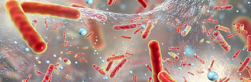 Como eliminar biofilms en industria alimentaria