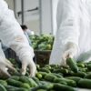 Desinfección de frutas y verduras con ácido peracético desinfección de alimentos ácido peracético