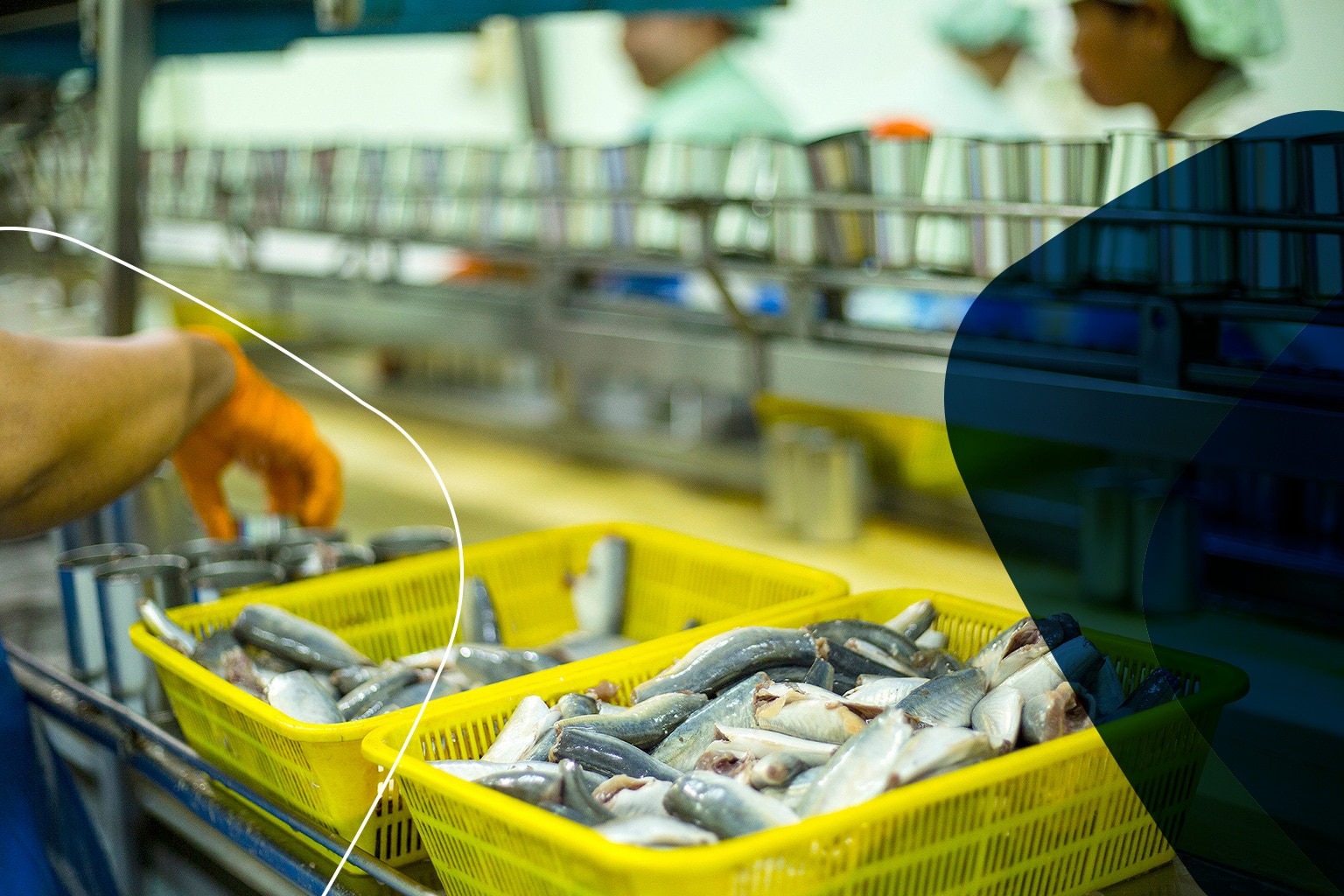 desinfeccion industria alimentos procesados