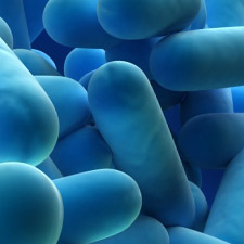 Prevención y control de la proliferación y diseminación de Legionella