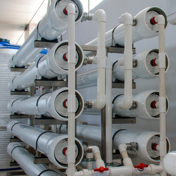 Treatment of membrane filtration systems