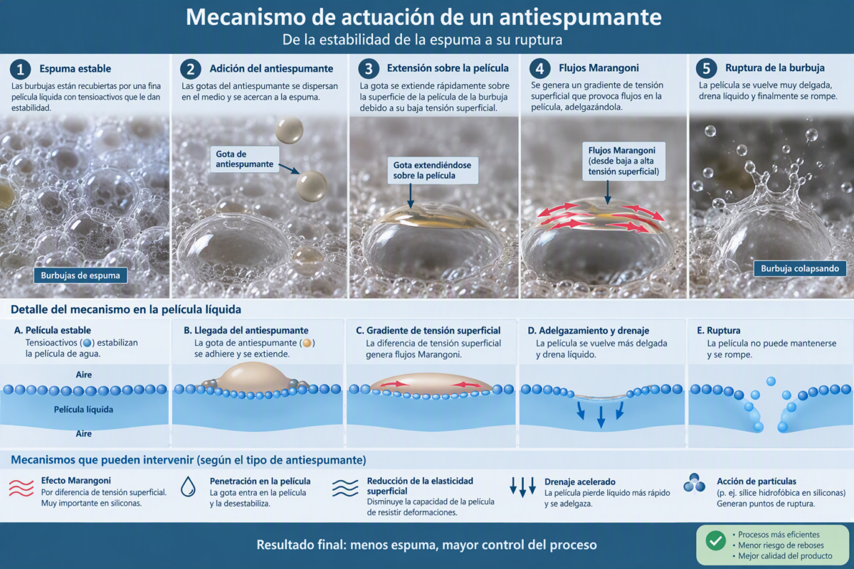 EO - PO y siloxanos para el control eficaz de la espuma EO - PO y siloxanos para el control eficaz de la espuma