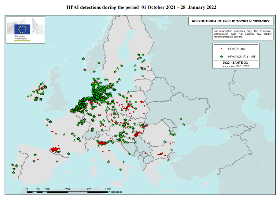 Mapa del estado de la grupe aviar europa