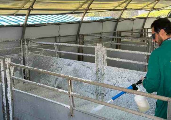 aplicación detergente VIXFOAM