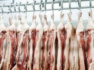 coronavirus industria alimentaria