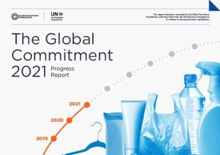 informes anuales 2021 global