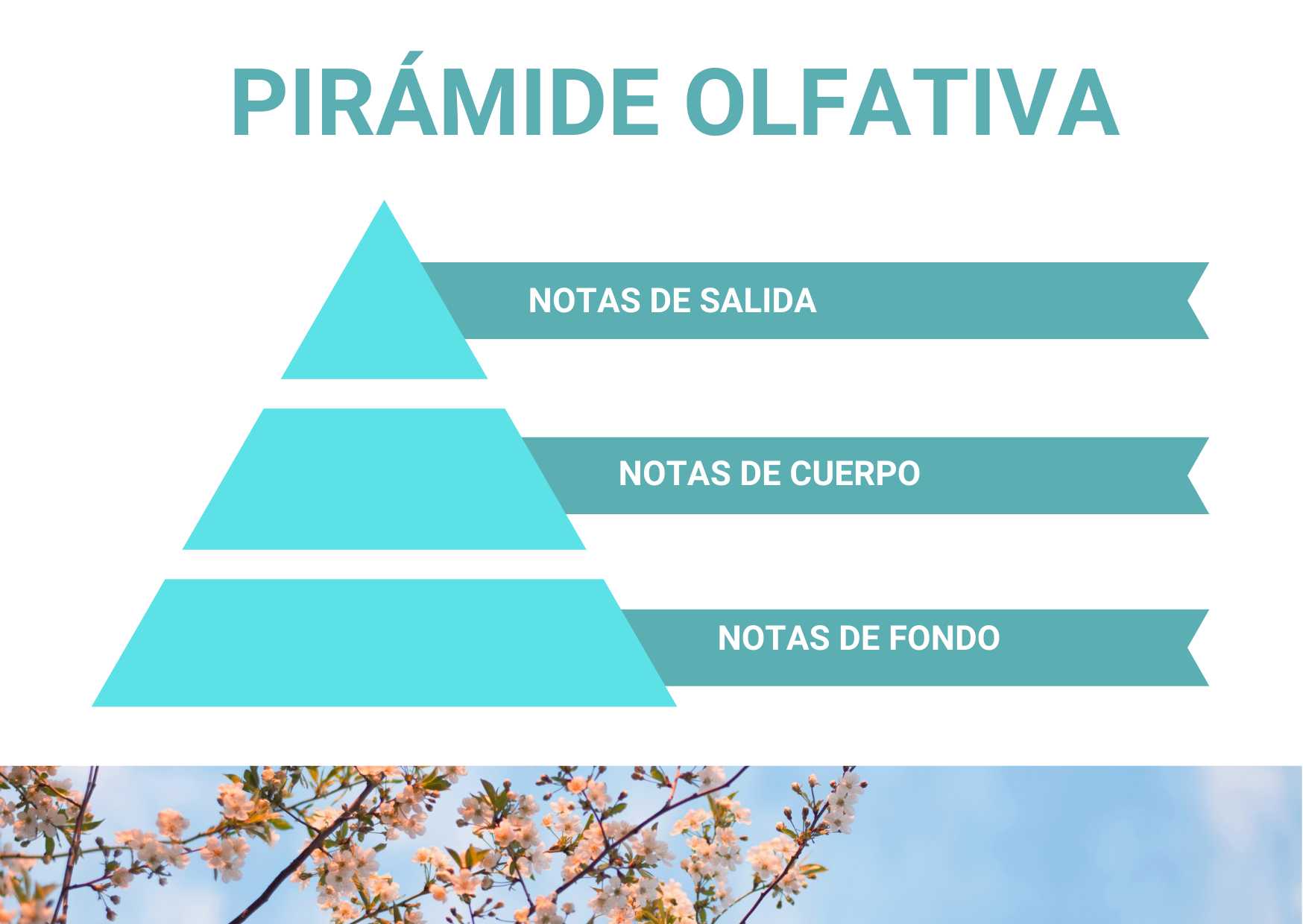 pirámide olfativa de ambientadores