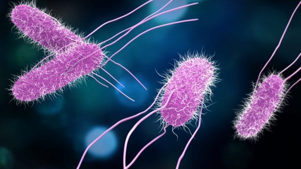 real-decreto-prevencion-constrol-legionella